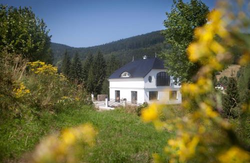 Stronie Slaskie Apartment | Dom Młyńsko