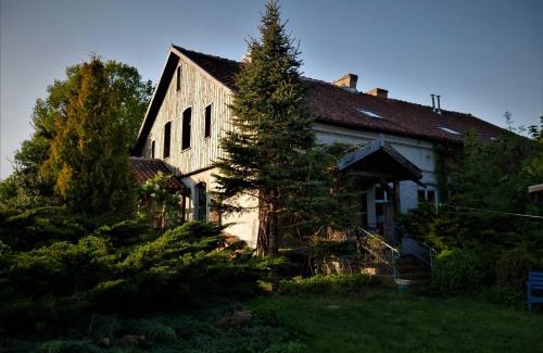 Skolity House | Dom na Wzgórzu
