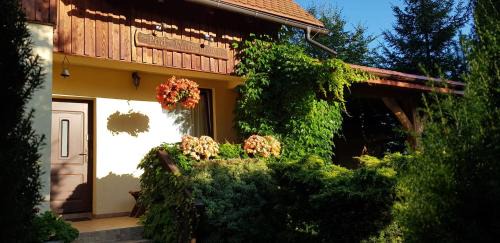 Stronie Slaskie House | Dom pod Wilczyńcem
