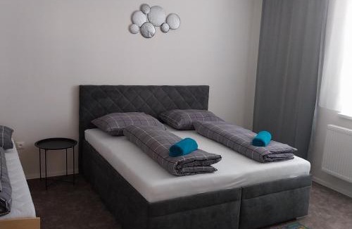 Trencianska Tepla House | Dom