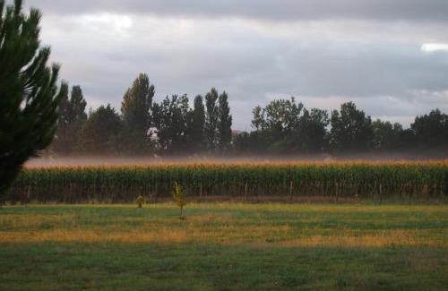 Ligre House | Domaine de Basse Chancelée