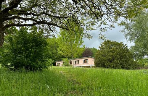 Saint-Pierre-de-Maille House | Domaine de Puygiraud sur L'Anglin