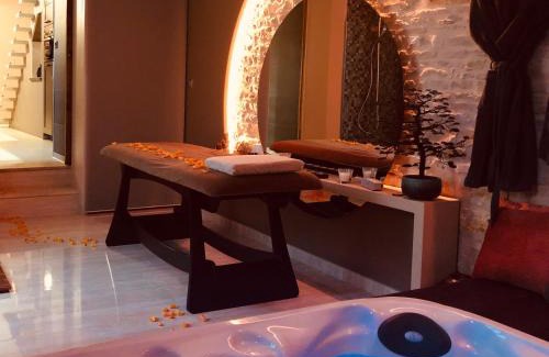 Arcais House | Domaine de l'Angélique - Loft avec SPA privatif - Marais poitevin entre Niort et La Rochelle