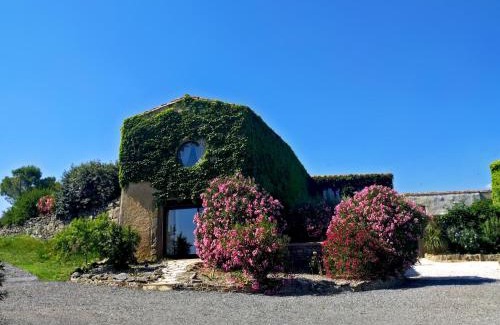 Laure-Minervois House | Domaine de Palats