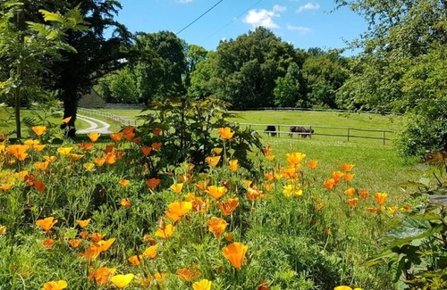 Le Chalard Bed & Breakfast | Domaine du Castellare