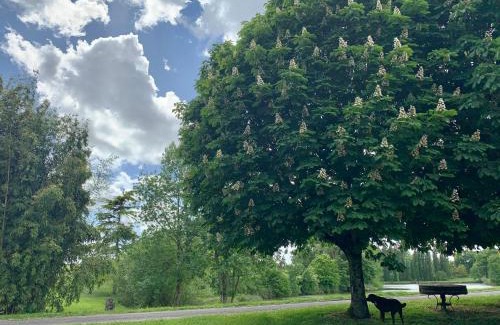 Neuil Bed & Breakfast | DOMAINE DU PONT SALMOIS