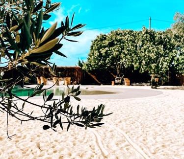 Mauguio Bed & Breakfast | Domaine FINCA LESSYA, Lodge insolite & SPA