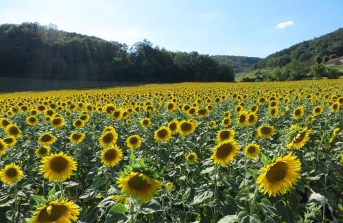 Manses House | Domaine Le Cazal