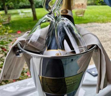Verdun-sur-Garonne Bed & Breakfast | Domaine Le Clos du Figuier Spa Grisolles
