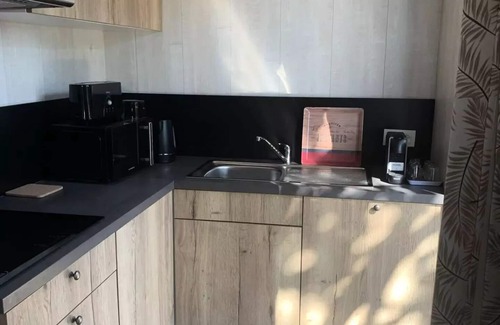Vosges House | Domaine les Nids du Lac* - MOBIWOOD 39 4 rooms 6 people