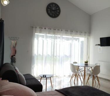 Gemozac Apartment | Domaine Moulin D' Elemiah