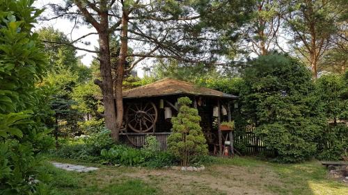 Puck Cabin | Domek Letniskowy na Kaszubach lub Apartament z Kominkiem