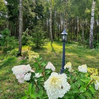 Myszyniec House | Domek letniskowy