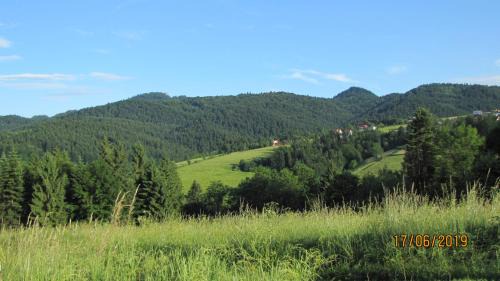 Kroscienko nad Dunajcem Cabin | Domek na Przylasku
