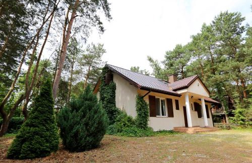 gmina Długosiodło House | Domek nad Narwią