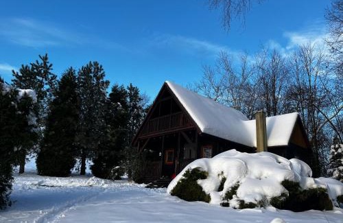 Trzciana Ski Chalet | Domek Pod Lasem