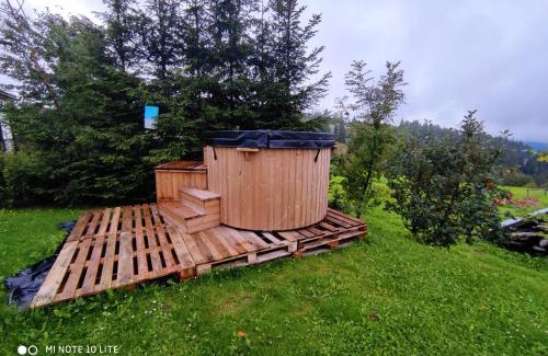 Bialy Dunajec Ski Chalet | Domek u Matusa