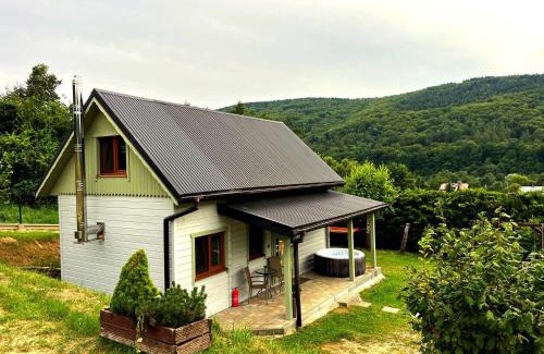 Ropica Gorna Cabin | Domek w Beskidach