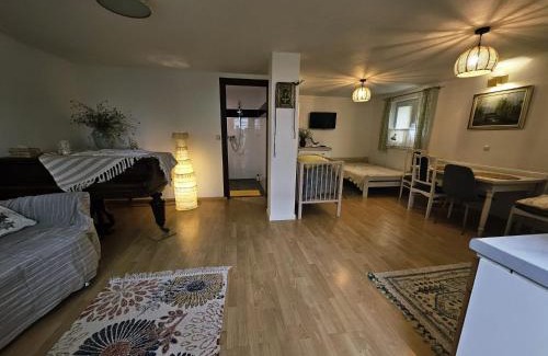 gmina Plesna Apartment | Domek w sercu Pogórza Karpackiego