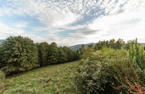Czernichow House | Domek Widok