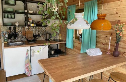 Płazowo House | Domek z sauną i balią w Borach tucholskich