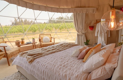 Loira House | Domescapes in the Vines