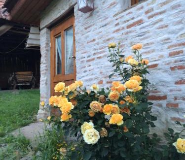 Cloasterf House | Dominic Boutique - Gardener's Cottage