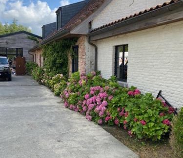 Mater Villa | Domus Mater
