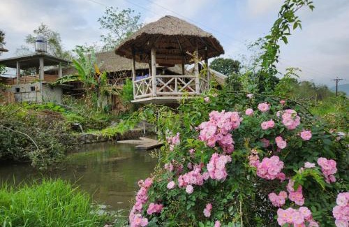 Ha Giang House | Dong Que Homestay-Tours-Motorbike, Car rental, Hiking