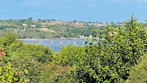 Dittisham House | Donore - Quintessential English Cottage close to Dittisham Quay