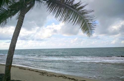 Dorado del Mar Apartment | Dorado Beach Condo