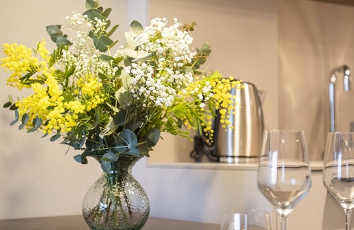 Banyoles Apartment | Double apartment