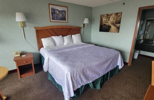 Asheville Hotel | Downtown Inn #2- King room