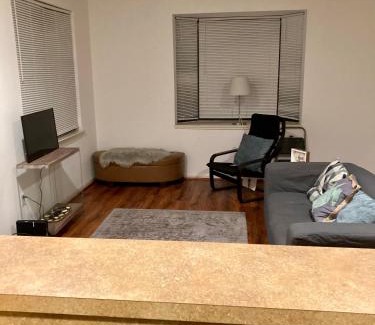 Greater Third Ward House | Downtown Room For Active Guests Out During Day