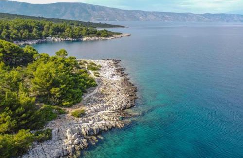 Cove Basina (Jelsa) Apartment | Dragana
