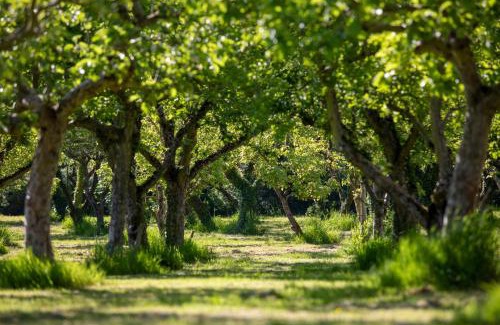 Ledbury House | Dragon Orchard Retreat