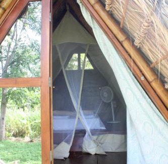 Santa Cruz Cabin | Dragon's Garden