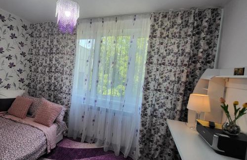 Piatra Neamt Apartment | Dream house Apartament