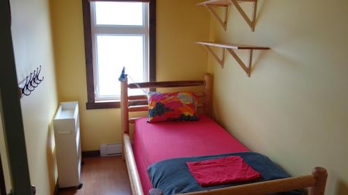 Golden Hostel | Dreamcatcher Hostel