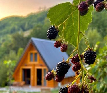 Bijelo Polje Ski Chalet | Dreamhouse Montenegro