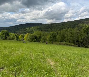 Wapienne House | Drewniany Dom Buczynowy Natura, relaks, las, Beskid Niski, góry