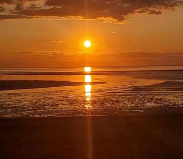 Holme House | Driftwood Cottage Holme next the sea pets go free