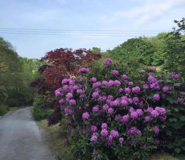 Tavistock House | Drovers Cottage