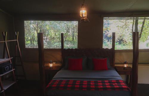 Maasai Mara Cabin | Drunken Elephant Mara