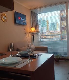 Concepcion Apartment | DSalas 445 con estacionamiento Concepcion