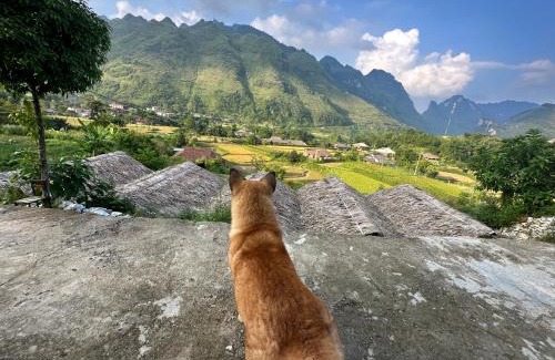 Yen Minh House | Du Gia Cozy Homestay & Tours