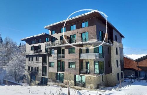 Bakuriani Apartment | Duplex apartment near the forest