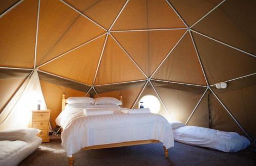 Trinity Other | Durrell Wildlife Camp