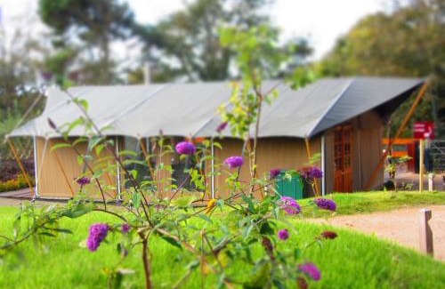 Trinity Other | Durrell Wildlife Camp