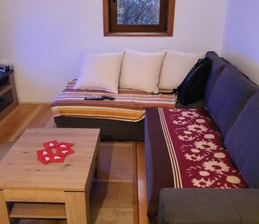 Bajina Basta Ski Chalet | Dzemper Cottage House